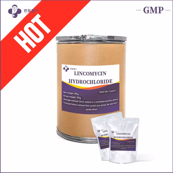 GMP Fabrication d'antibiotiques pharmaceutiques API CAS 1403